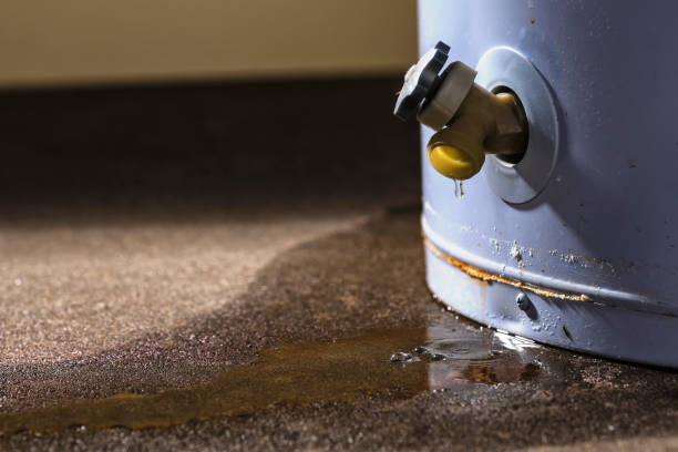 Best Carpet water damage restoration  in Black Hammock, FL