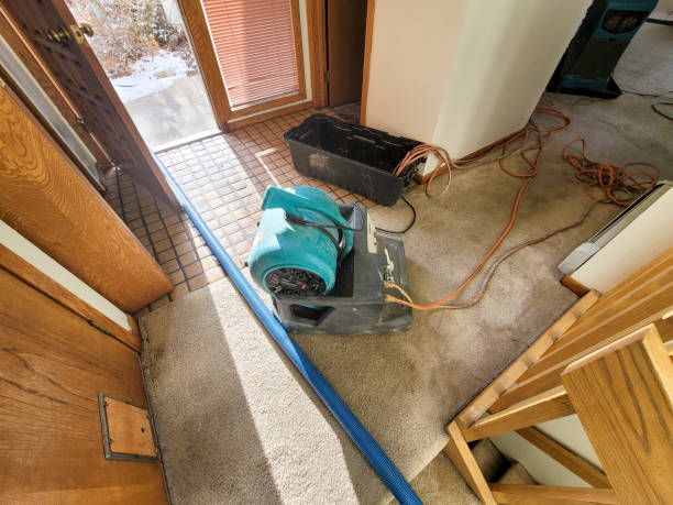 Best Water damage restoration near me  in Black Hammock, FL