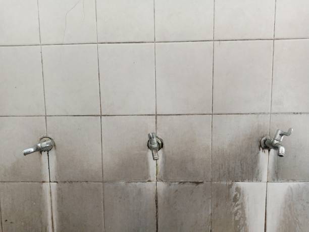 Best Flood damage cleanup  in Black Hammock, FL