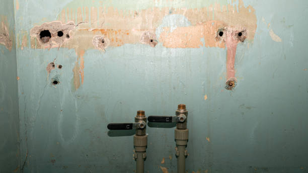 Best Ceiling water damage repair  in Black Hammock, FL