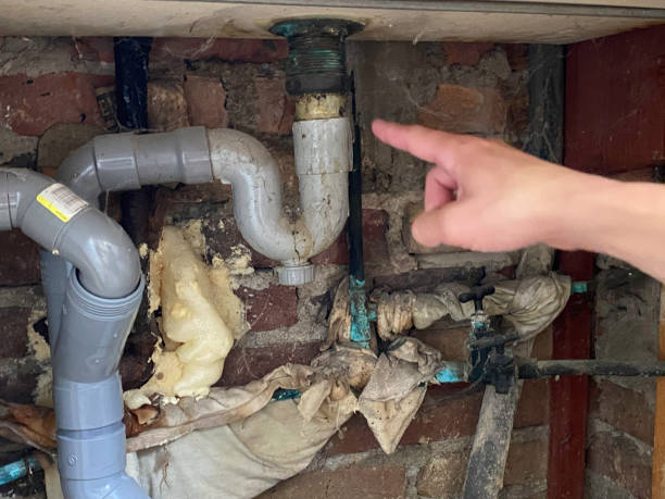 Best Mold removal after water damage  in Black Hammock, FL