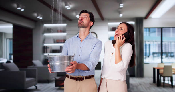 Best Flood damage cleanup  in Black Hammock, FL
