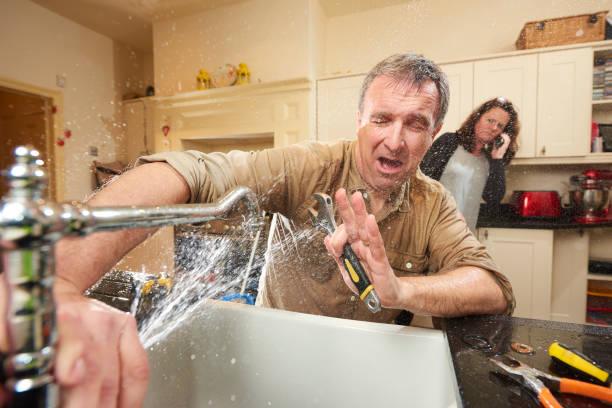 Best Water damage repair service  in Black Hammock, FL